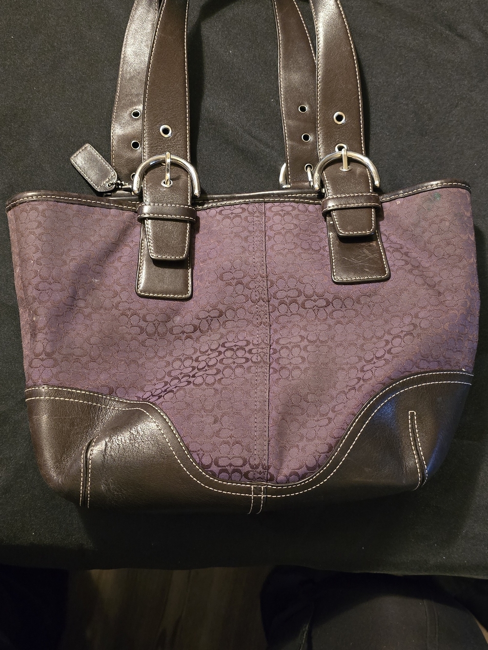Coach Purple and Brown Signature Tote